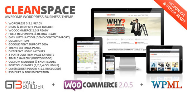 CleanSpace Retina Ready Business WP Theme