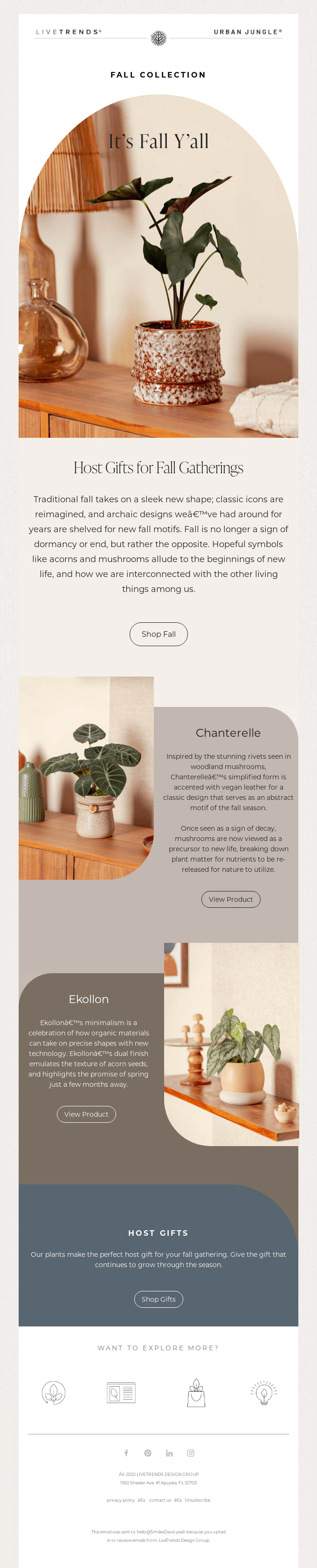 Crafting Engaging September Newsletters: Ideas and Inspirations for Web Designers